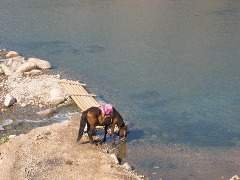 ����������